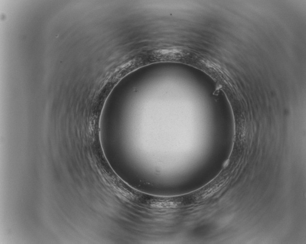 X0000087390759200704271622