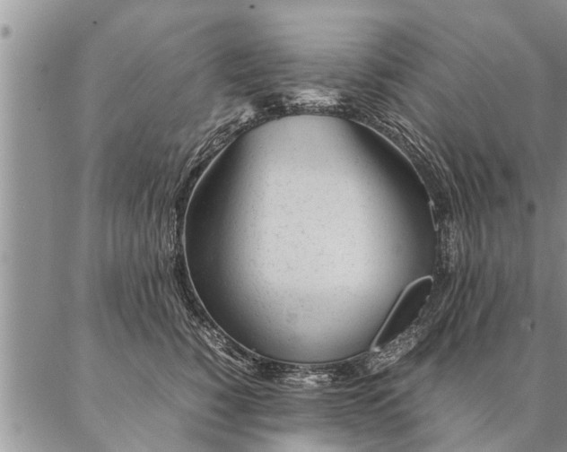 X0000087390760200704271622