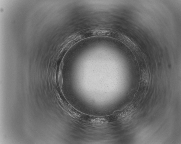 X0000087390761200704271622