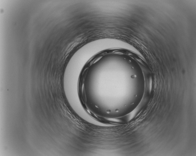 X0000087390762200704271622