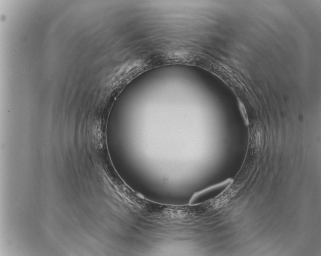 X0000087390764200704271622