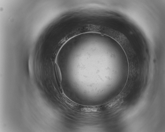 X0000087390765200704271622