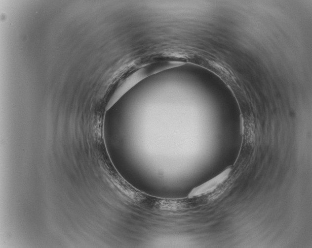 X0000087390766200704271622