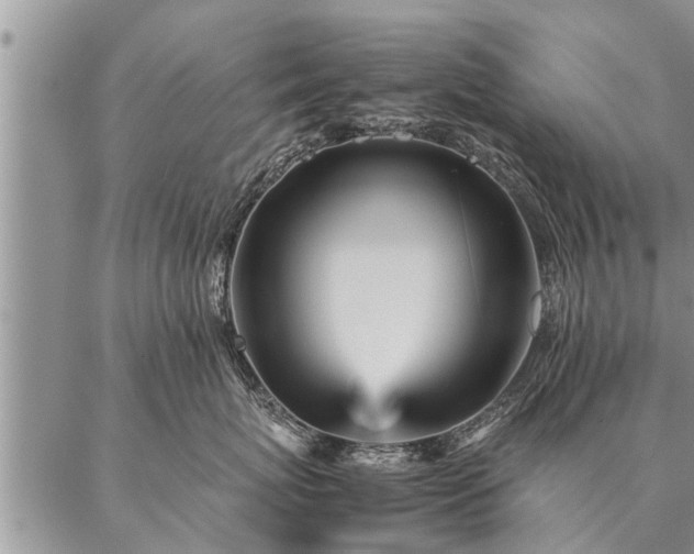 X0000087390767200704271622