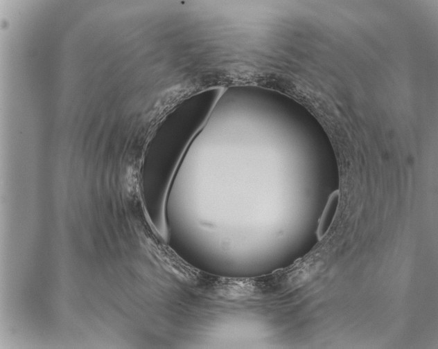 X0000087390768200704271622