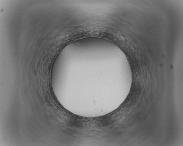 X0000087390769200704271621