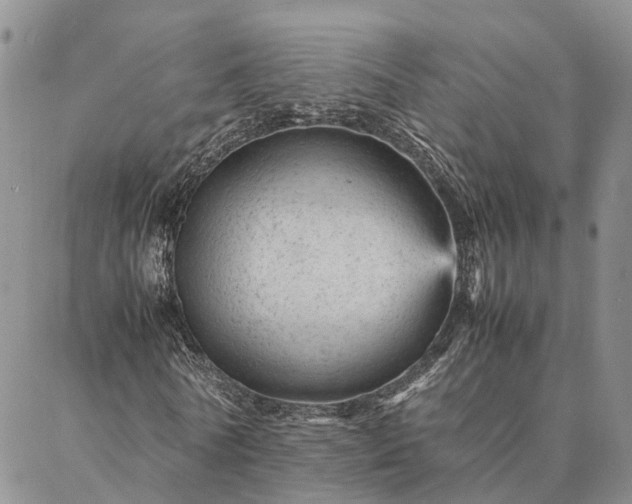 X0000087390770200704271621