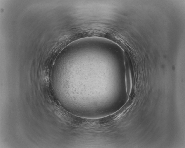 X0000087390771200704271621