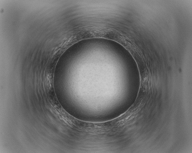 X0000087390772200704271621