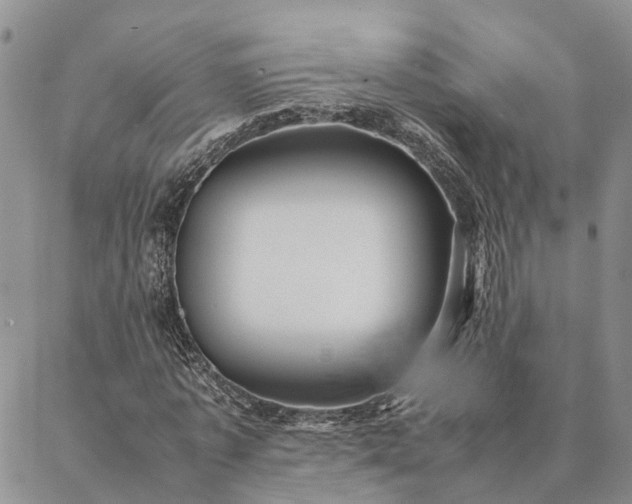 X0000087390773200704271621