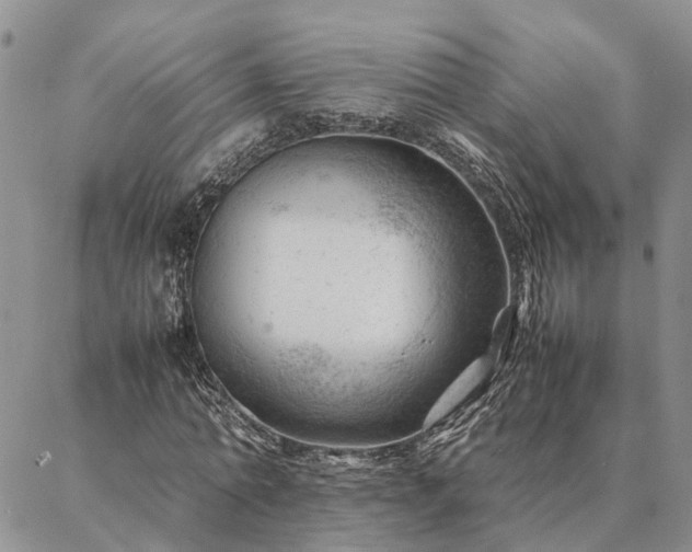 X0000087390774200704271621