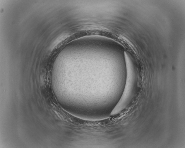 X0000087390775200704271621