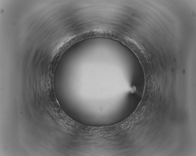 X0000087390776200704271621