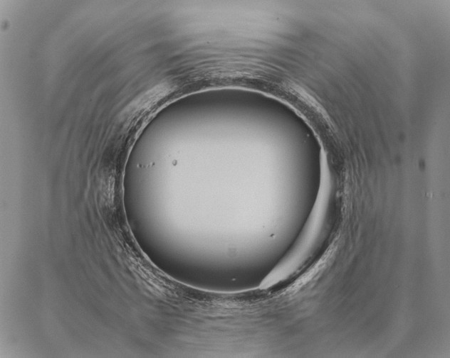 X0000087390777200704271621