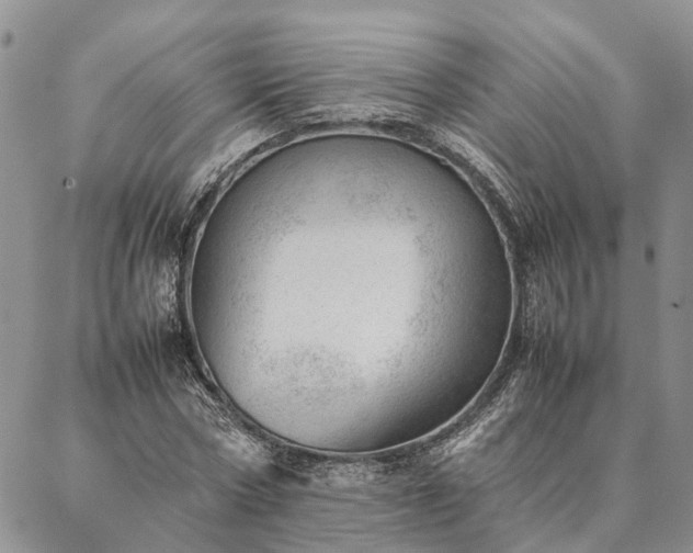 X0000087390778200704271621