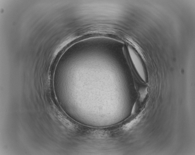 X0000087390779200704271621