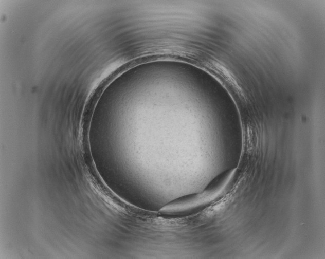 X0000087390780200704271621