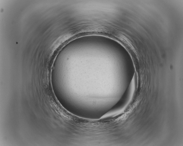 X0000087390781200704271621