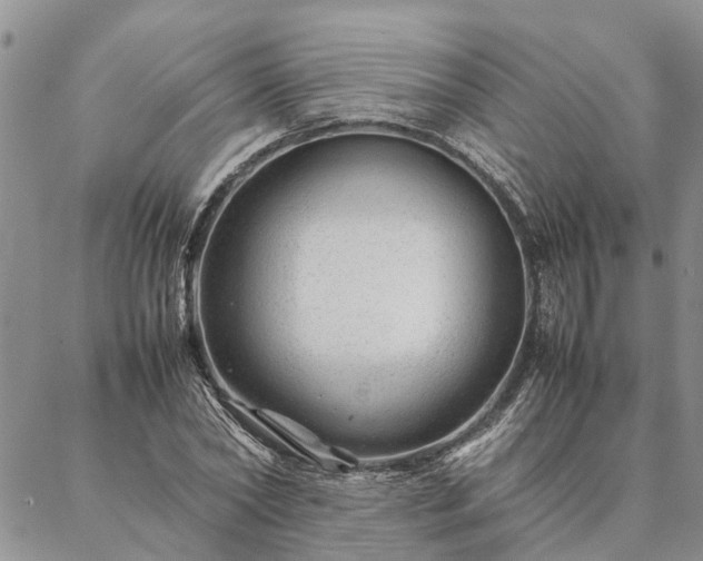 X0000087390782200704271621