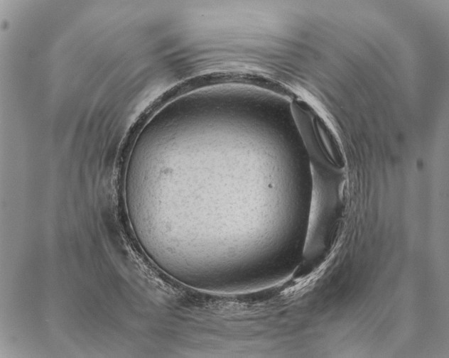 X0000087390783200704271621