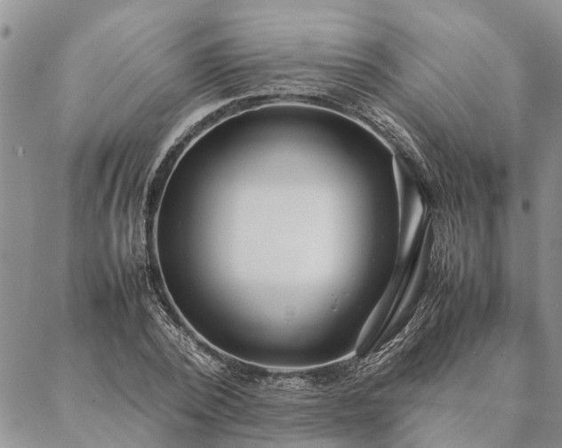 X0000087390784200704271621