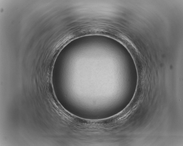 X0000087390785200704271621