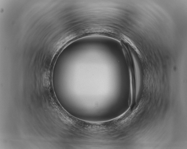 X0000087390786200704271621