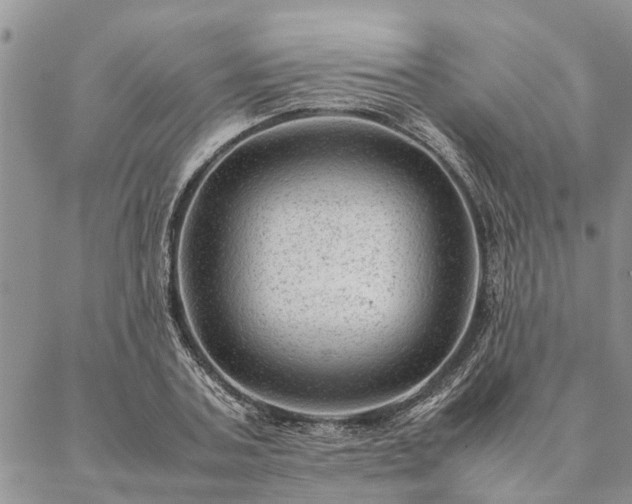 X0000087390787200704271621