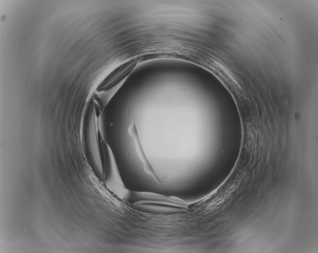 X0000087390788200704271621