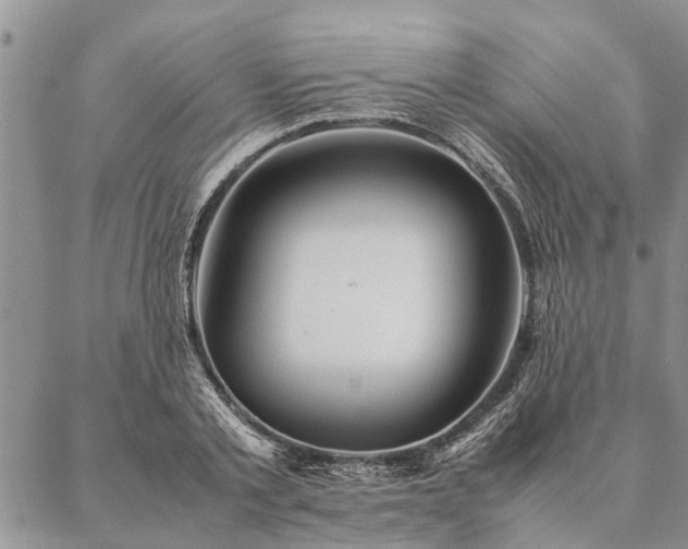 X0000087390789200704271621