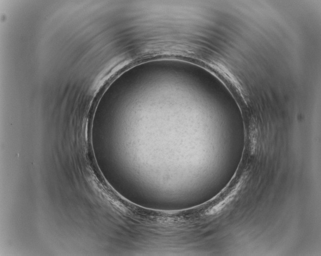 X0000087390790200704271621