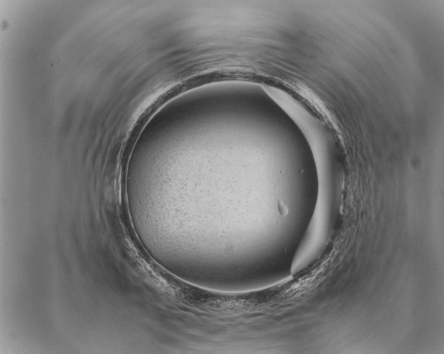 X0000087390791200704271621