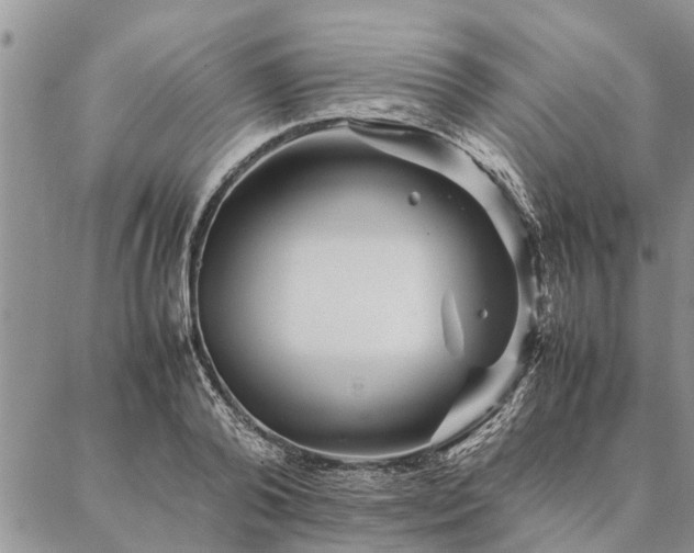 X0000087390792200704271621