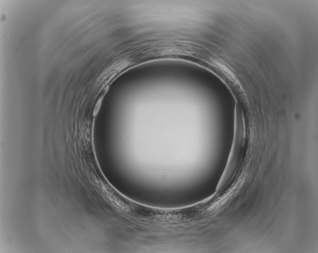 X0000087390793200704271621