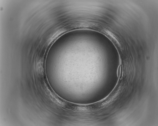 X0000087390794200704271621