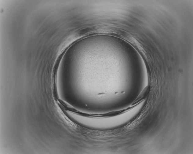 X0000087390795200704271621