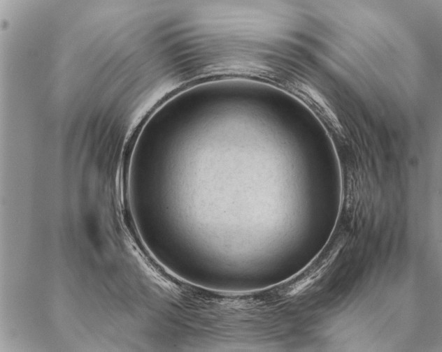 X0000087390796200704271621