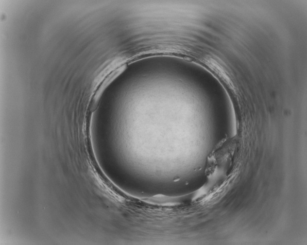 X0000087390797200704271621