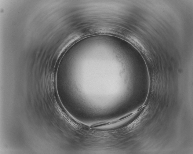 X0000087390798200704271621