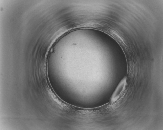 X0000087390800200704271621