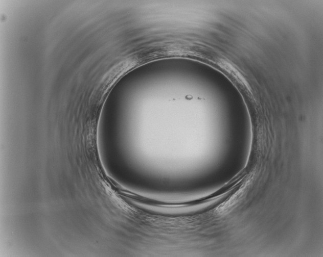 X0000087390801200704271621