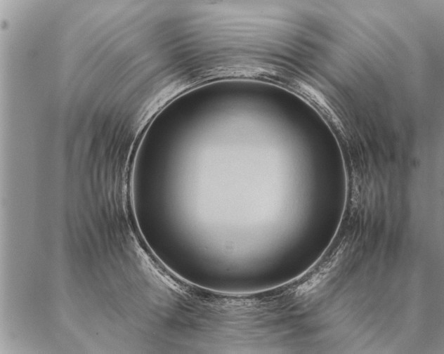 X0000087390802200704271621