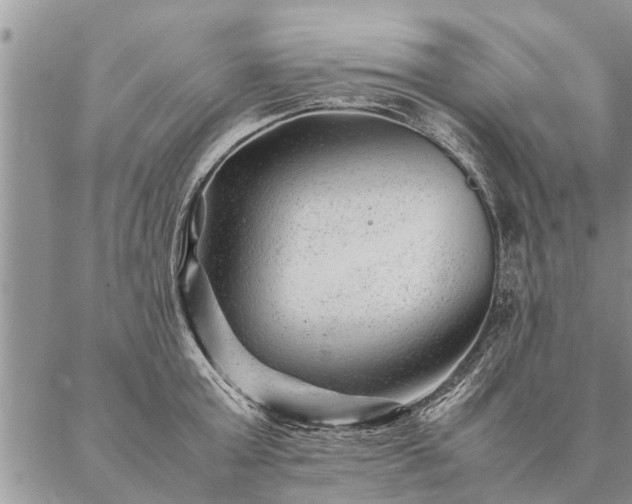 X0000087390803200704271621