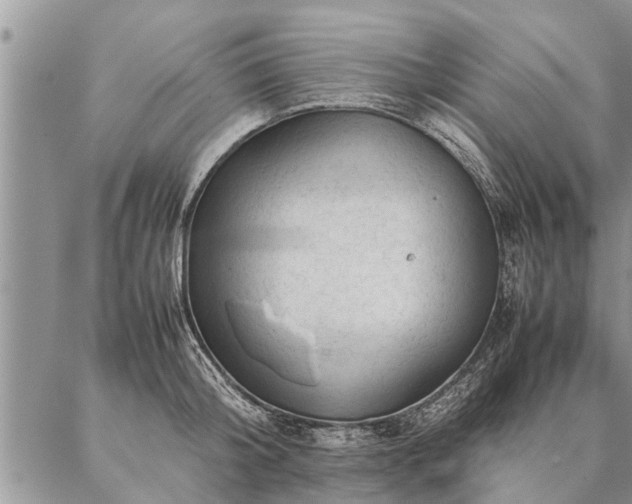 X0000087390804200704271621