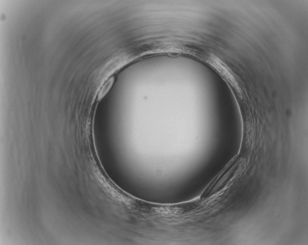 X0000087390805200704271621