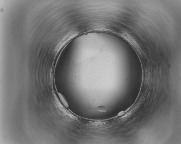 X0000087390806200704271621