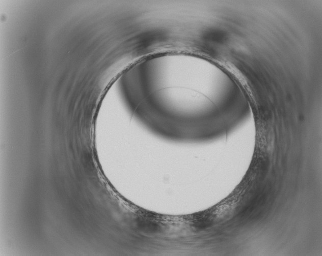 X0000087390807200704271621