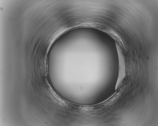 X0000087390808200704271621