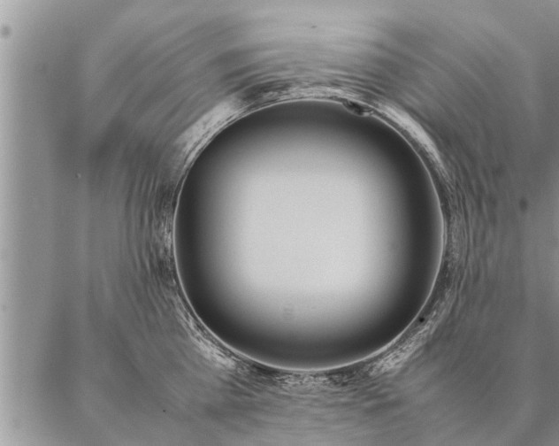 X0000087390809200704271621