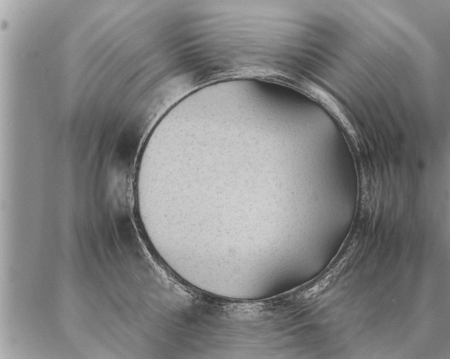 X0000087390810200704271621